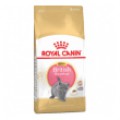 Royal Canin British Shorthair Kitten 2 kg