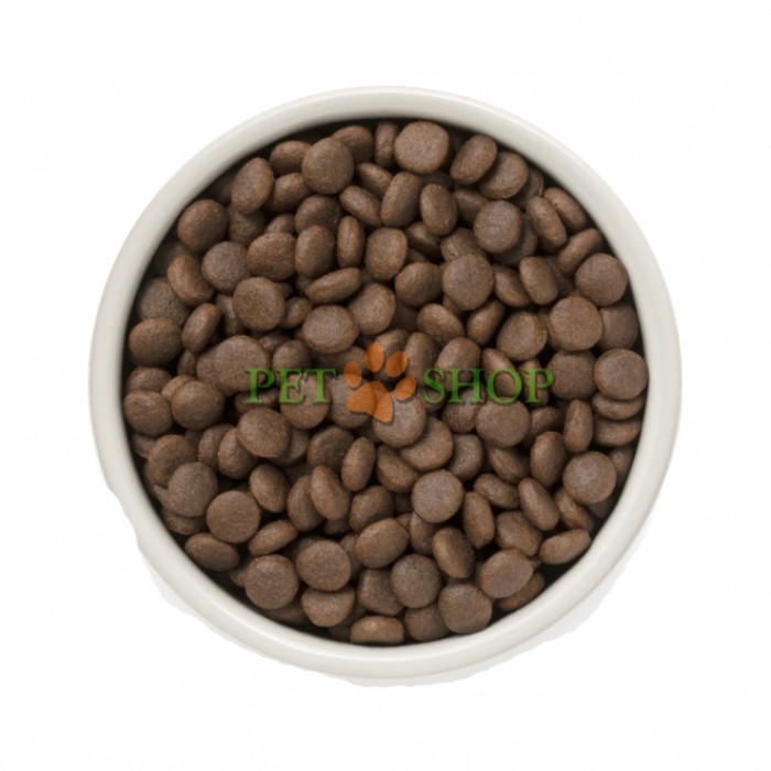 <p><strong>Grandorf 4 Meat Recipe Adult Medium & Maxi Breeds&nbsp;&ndash; сухой гипоаллергенный корм, холистик класса взрослых собак&nbsp;средних и крупных пород с мясом ягненка, индейки, дикого кабана, утки с бурым рисом и пробиотиком.</strong></p>