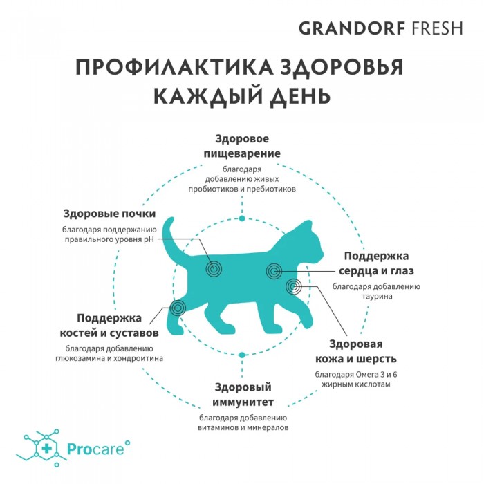 <p><strong>GRANDORF Fresh Cat KITTEN Lamb - </strong>hrană fără cereale cu probiotice vii. Pentru pisoi de la 3 săptăm&acirc;ni, pisici gestante și lactante.</p>