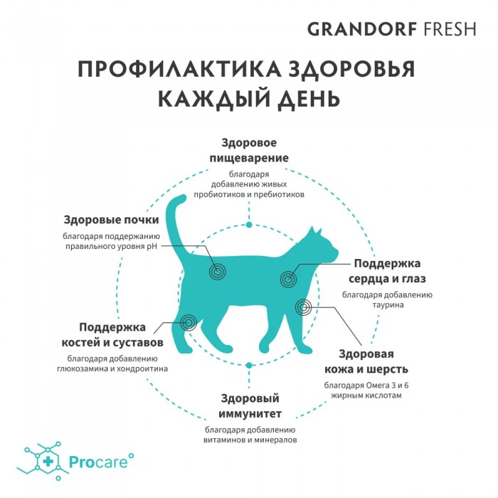 <p><strong>GRANDORF Fresh Cat ADULT Salmon -&nbsp;</strong>hrană fără cereale cu probiotice vii. Pentru pisici adulte, pentru sănătatea pielii și blănii sau predispuse la alergii.</p>
