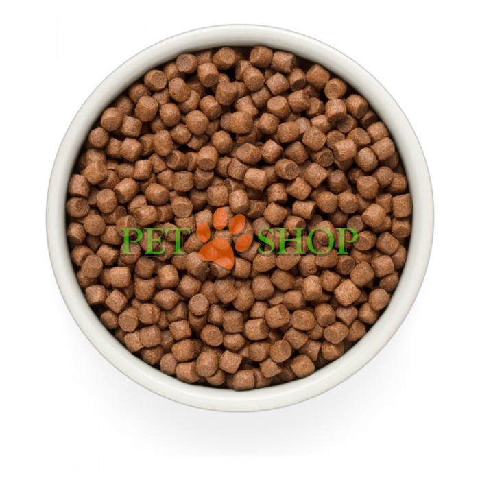 <p><strong>GRANDORF Fresh Salmon Adult Mini </strong>-&nbsp;Беззерновой корм с живыми пробиотиками. Для взрослых собак мелких пород, для здоровья кожи и шерсти или склонных к аллергии.</p>