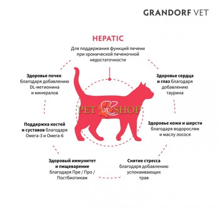 <p><strong>Grandorf Veterinary Diet Cat Hepatic - </strong>полнорационный диетический сухой корм для кошек, разработанный для поддержания функций печени при хронической печеночной недостаточности. Формула на основе бескостной индейки. Обеспечивает поддержку функций печени за счет снижения меди и умеренного содержания высококачественных и легкоусвояемых белков.</p>