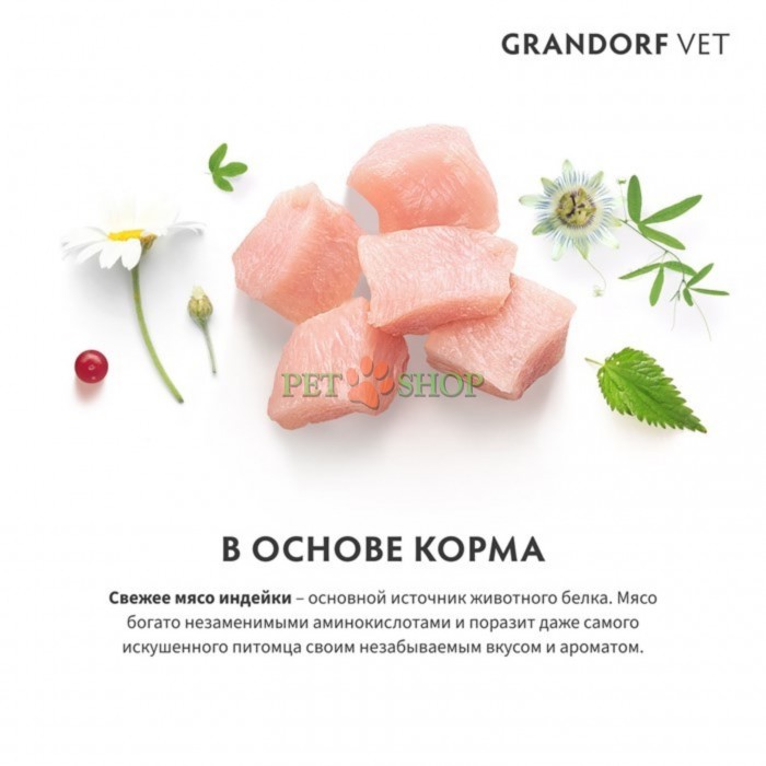 <p><strong>Grandorf Veterinary Diet Cat Hepatic - </strong>полнорационный диетический сухой корм для кошек, разработанный для поддержания функций печени при хронической печеночной недостаточности. Формула на основе бескостной индейки. Обеспечивает поддержку функций печени за счет снижения меди и умеренного содержания высококачественных и легкоусвояемых белков.</p>