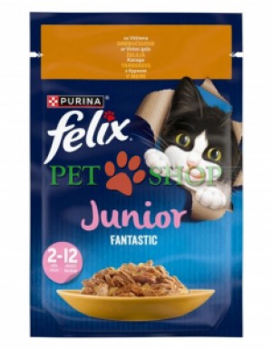 <p><strong>Консервы для котят Purina Felix Аппетитные кусочки, курица, пауч, 85 гр</strong></p>