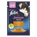 Purina Felix Junior 85 gr