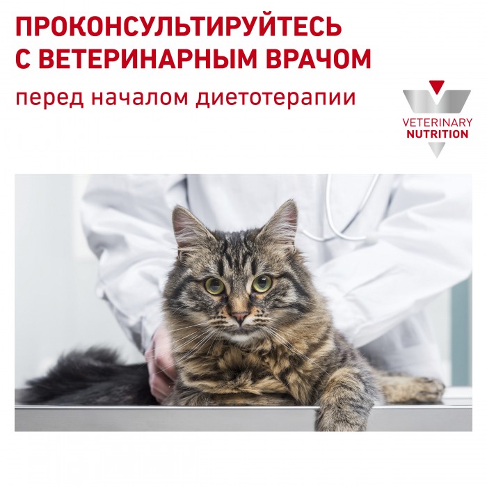 <p><strong>Корм сухой полнорационный диетический для взрослых кошек, применяемый при пищевой аллергии или пищевой непереносимости. Ветеринарная диета.</strong></p>

<p> </p>