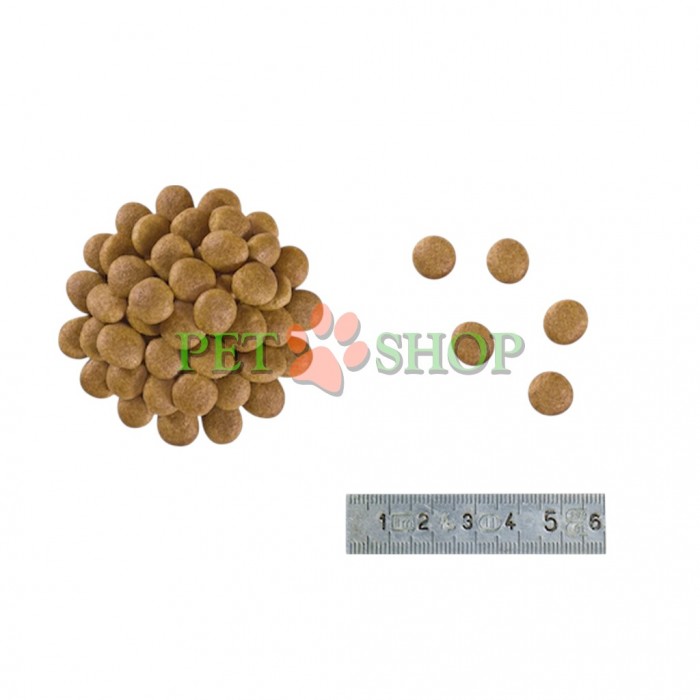 <p>Royal Canin Anallergenic Cat - dietă completă pentru pisici adulte, ce prezintă reacție alergică la hrană.</p>