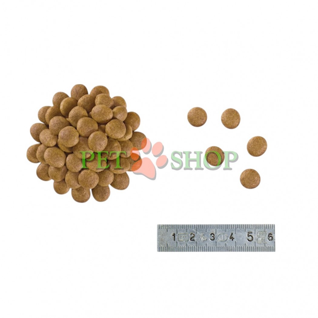 <p>Royal Canin Anallergenic Cat - dietă completă pentru pisici adulte, ce prezintă reacție alergică la hrană.</p>